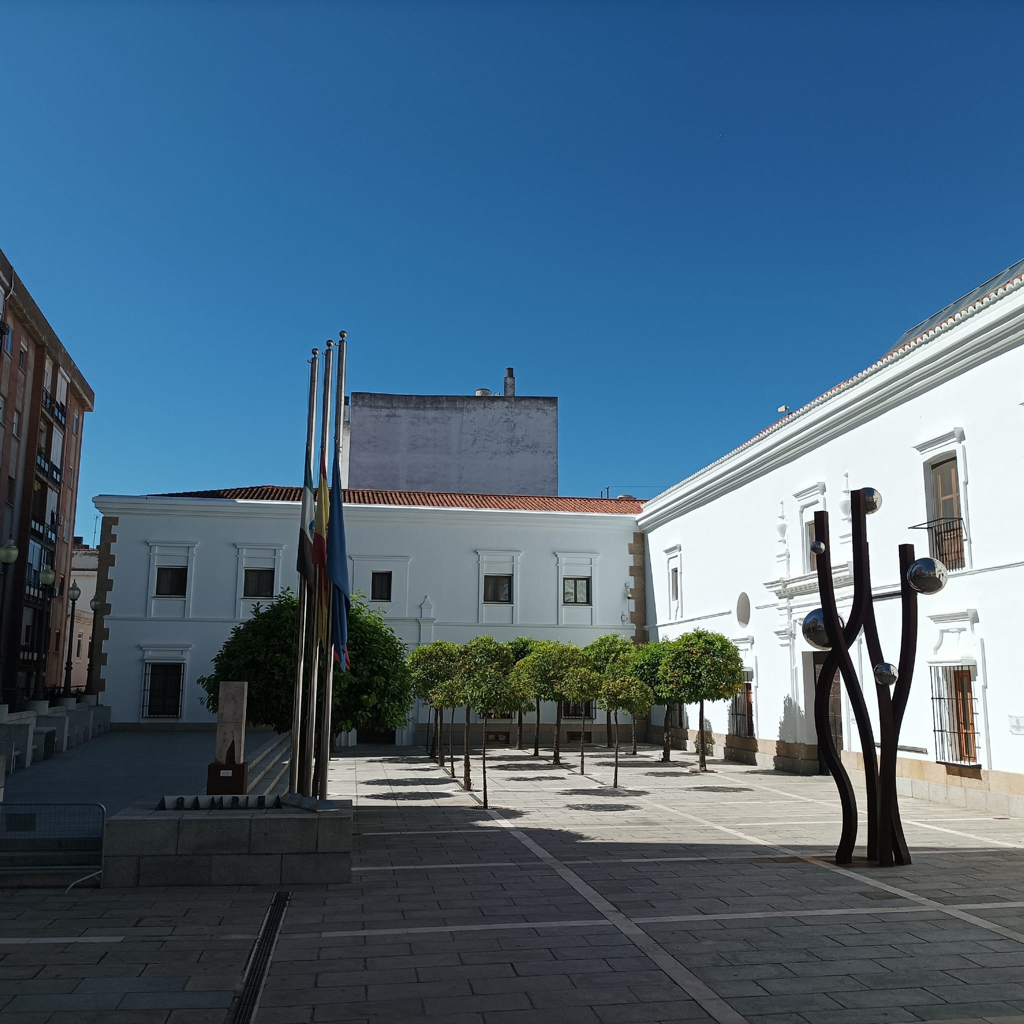 asamblea banderas