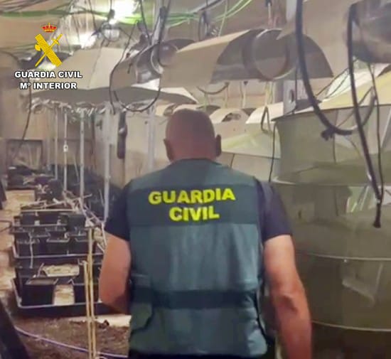 operación banaverde