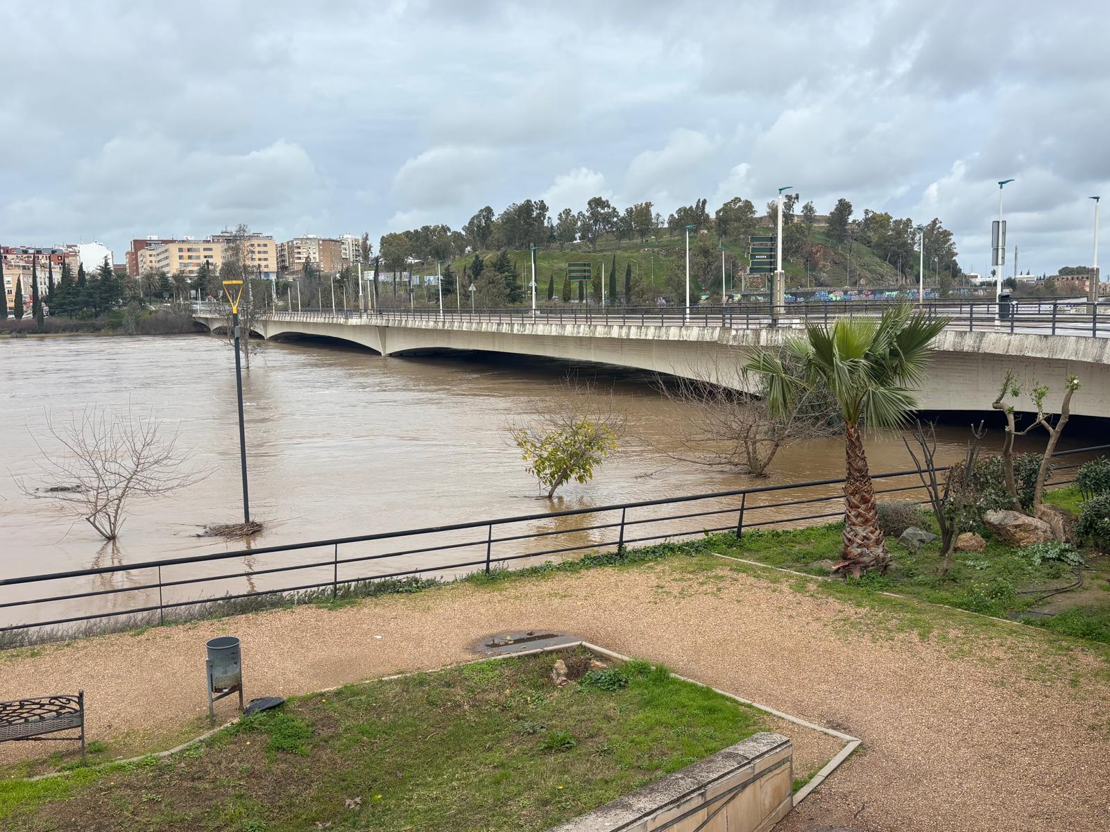 Imagen: Delia Martín Barbero