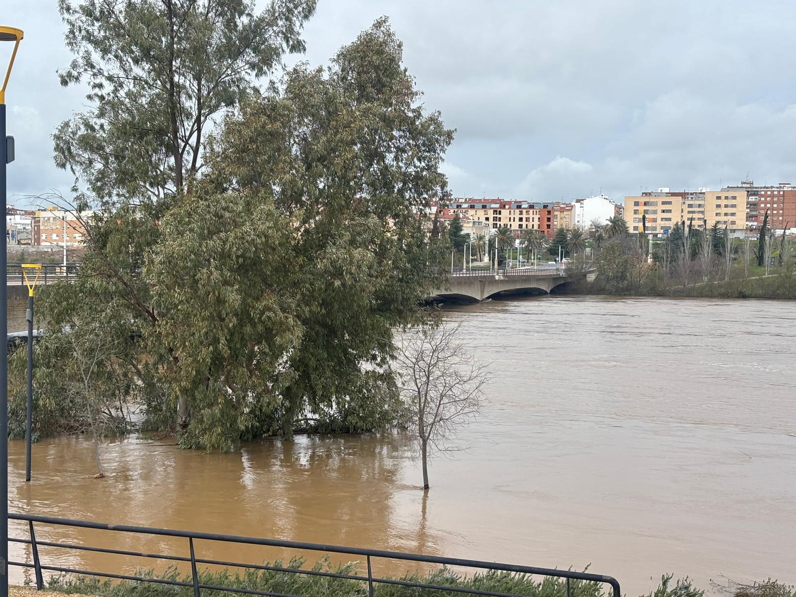 Imagen: Delia Martín Barbero