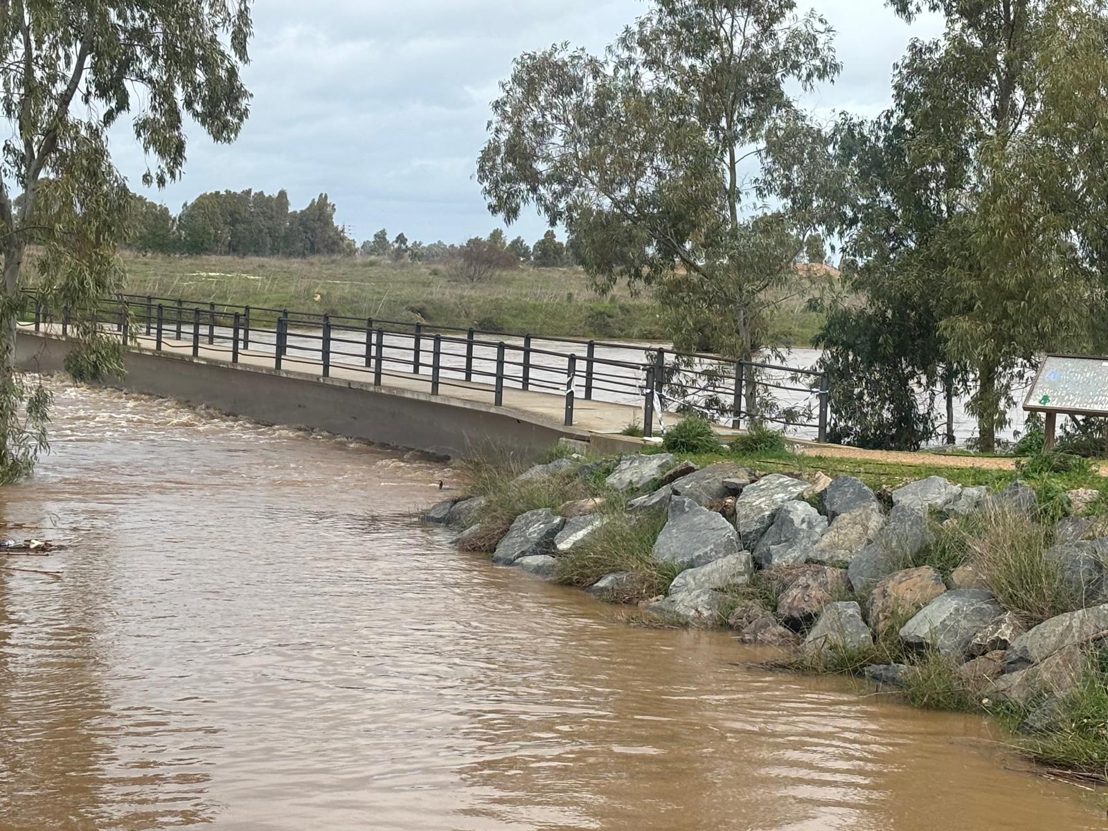 Imagen: Delia Martín Barbero