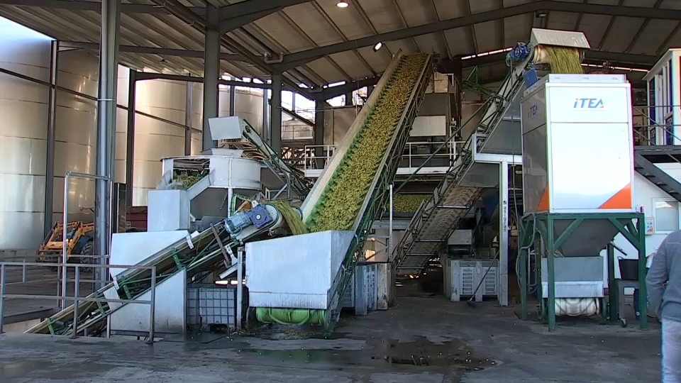 Aceite de oliva extremeño