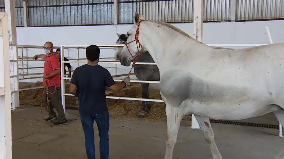 El número de explotaciones agrícolas en Extremadura se ha reducido casi un 15% en solo tres años