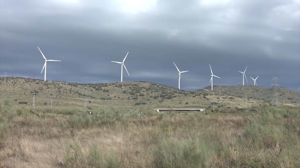 Día Mundial del Cambio Climático: Cuando la preocupación se convierte en ansiedad