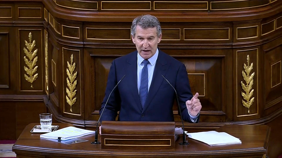 Alberto Núñez Feijóo en el Congreso de los Diputados