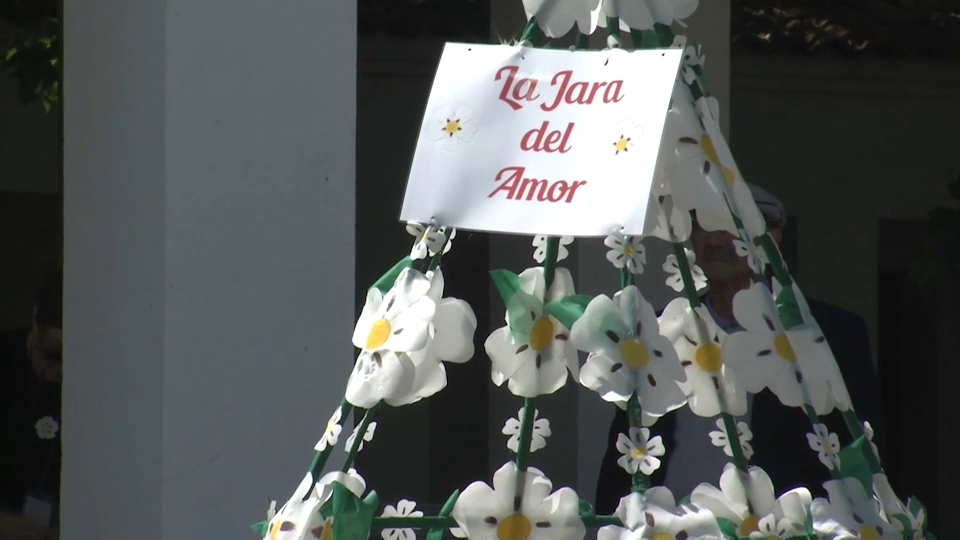 Jara en flor