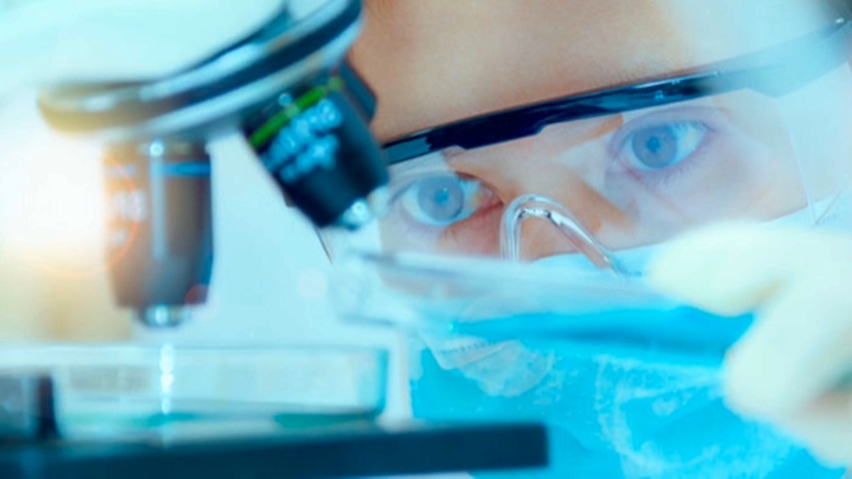 investigación