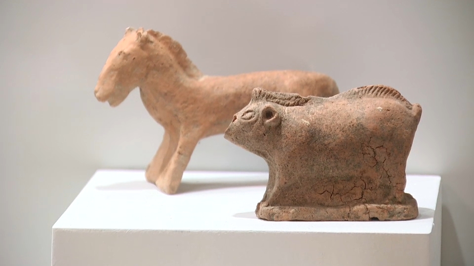 Nuevas adquisiciones llegadas de Italia conectan Cáceres con el mundo romano