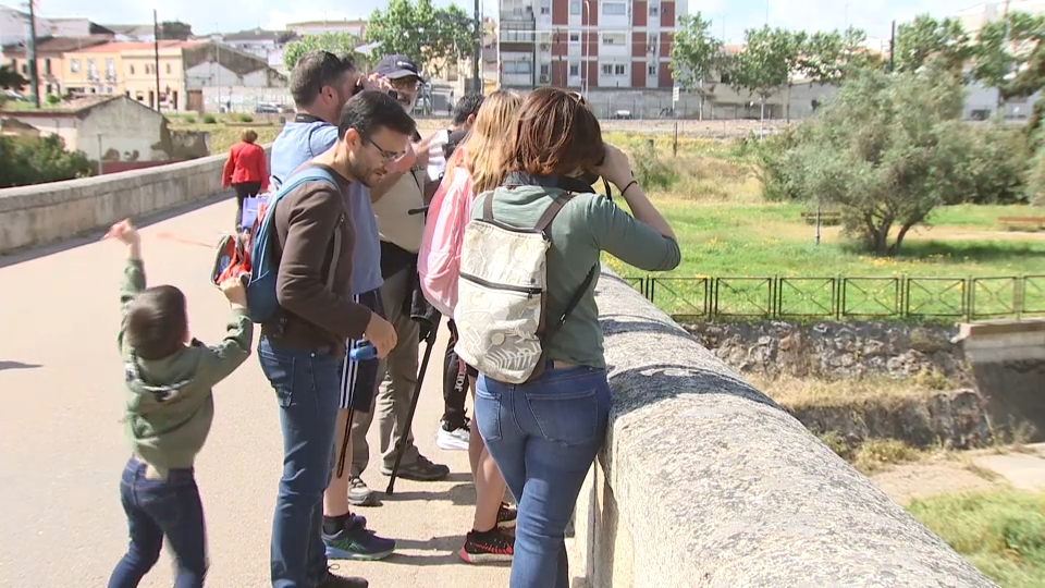 Mérida acoge la celebración del Día Mundial de las Aves Migratorias