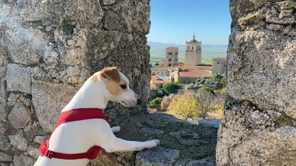 Extremadura se posiciona como referente en alojamientos 'pet friendly' 