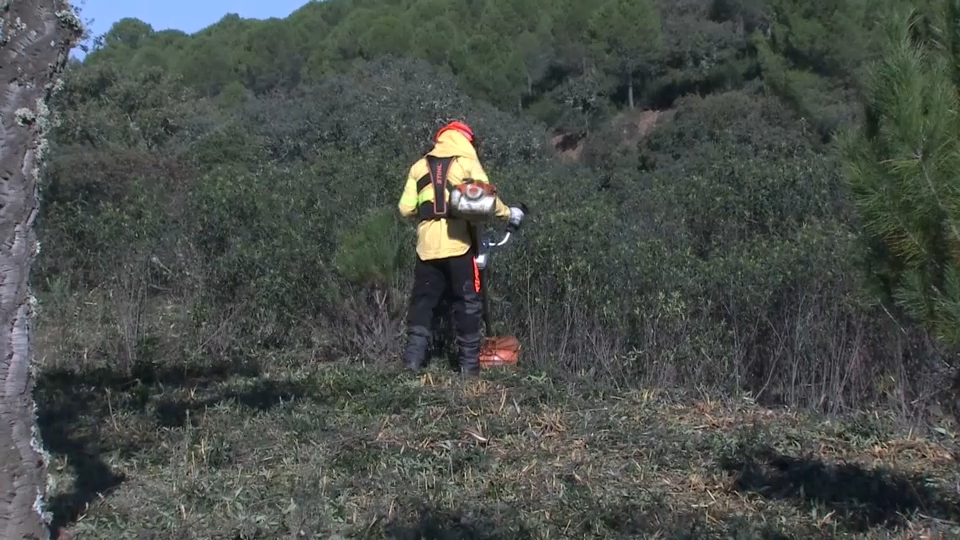 Prevención de incendios en Extremadura