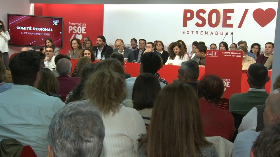 comité regional psoe