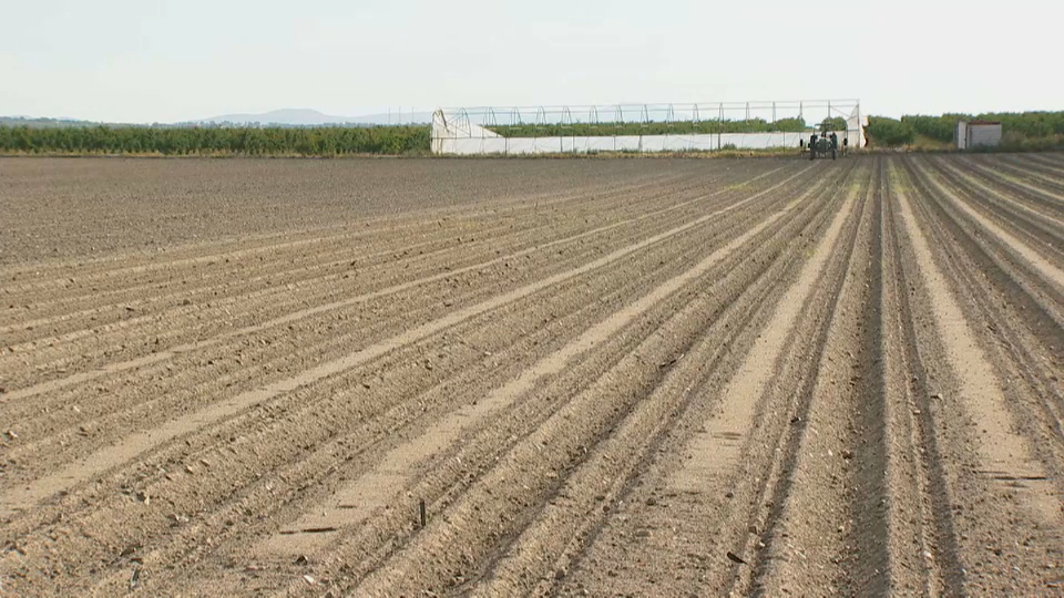 Agricultura finaliza pago de ayudas por la guerra en Ucrania y sequía por 185 millones en Extremadura