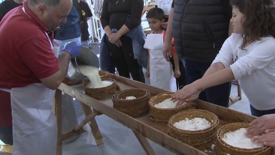 Taller de elaboración de Queso. Castuera