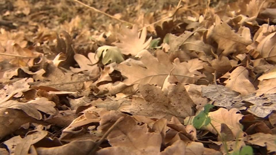 Valle del Jerte qué ver