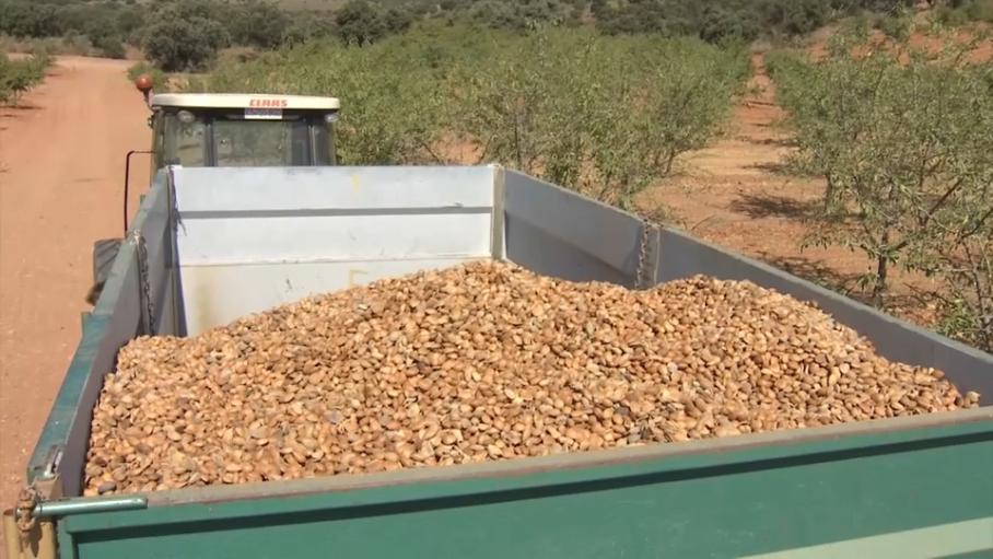 Almendras de Extremadura