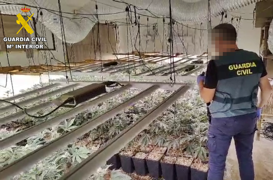Operación contra el tráfico de drogas