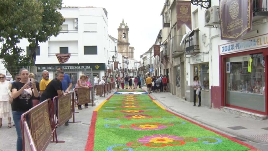 San Vicente de Alcántara supera los 4.000 kilos de viruta de madera para las alfombras de su Corpus Chris