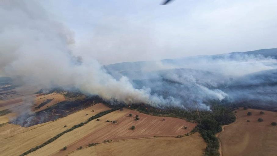 Declarado el nivel 1 de peligrosidad en un incendio forestal entre Don Benito y Manchita