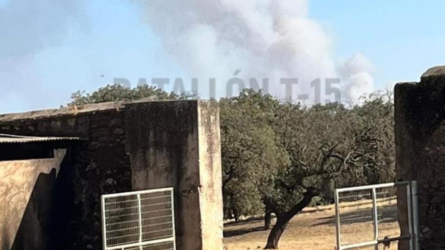 Incendio forestal en La Roca de la Sierra