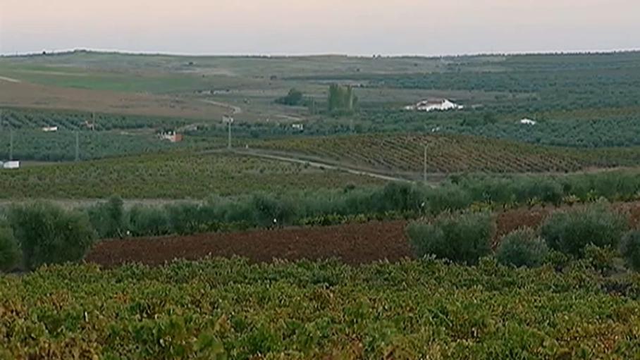 Regantex valora que el nuevo convenio de modernización de regadíos es "paso decidido" a una agricultura "más eficiente"