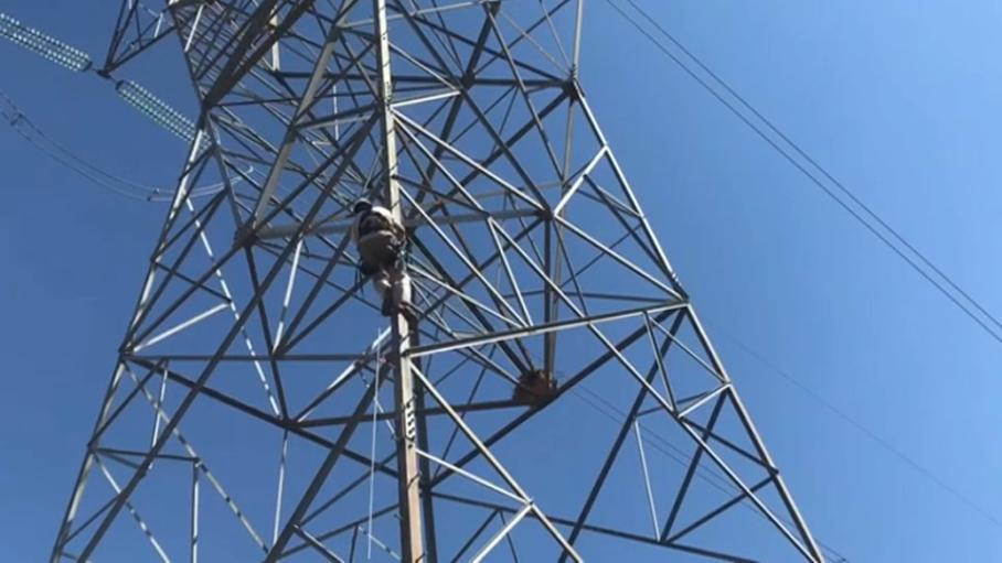 SEO/BirdLife pide colaboración para evaluar impacto en aves del tendido eléctrico en puntos de la Red Natura
