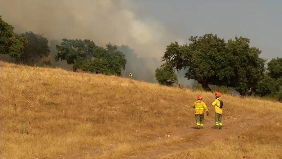 Decae el confinamiento de las casas de campo junto a la N-523 en Cáceres por el incendio de Aliseda