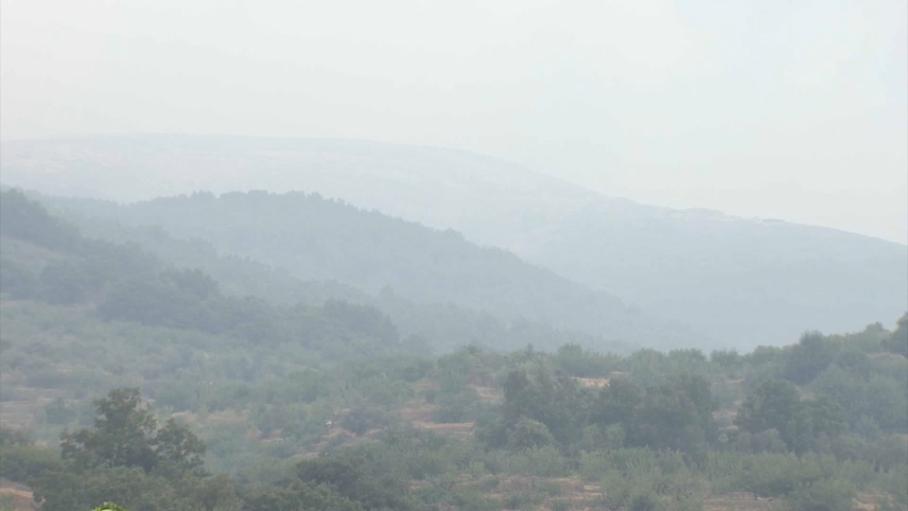 Los fuegos de Extremadura acaban con árboles centenarios y afectan a aves protegidas, según SEO/Birdlife