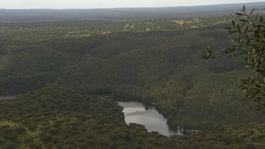 La Asociación Ecologistas Extremadura recurre el plan rector de Monfragüe por permitir caza y suelta de perros de rehala