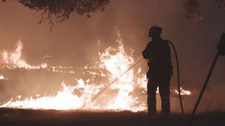 Efectivos luchando contra las llamas en los incendios forestales de Jarilla