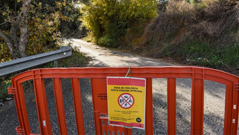 Zona de contención de la peste porcina africana. 