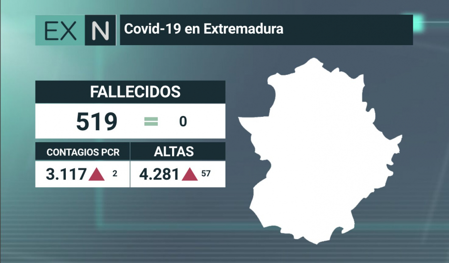 Resumen de los datos epidemiológicos acumulados