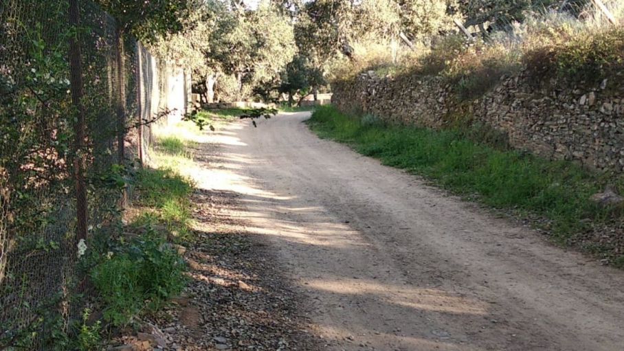 Circuito de motocross de La Codosera donde se ha producido el accidente