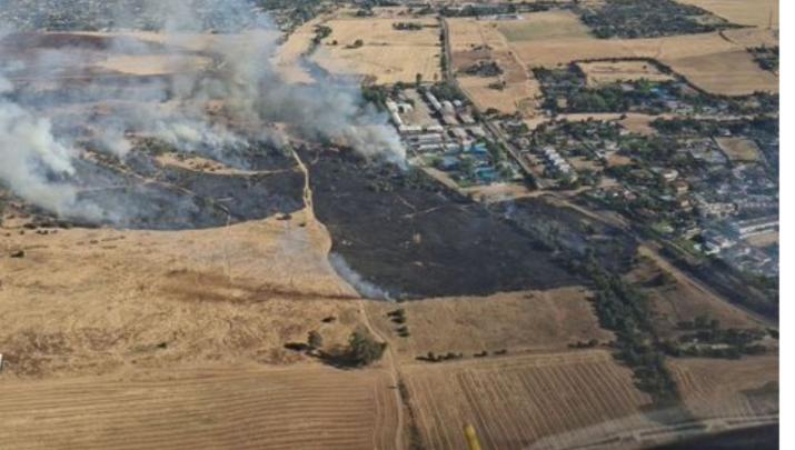 Efectivos del Plan Infoex trabajan en un incendio forestal en la zona de Las Vaguadas de Badajoz