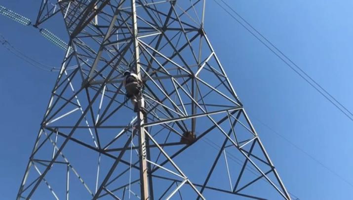 SEO/BirdLife pide colaboración para evaluar impacto en aves del tendido eléctrico en puntos de la Red Natura