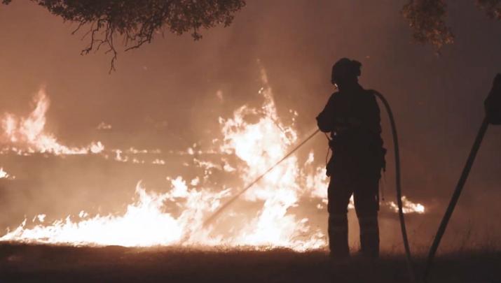 Efectivos luchando contra las llamas en los incendios forestales de Jarilla
