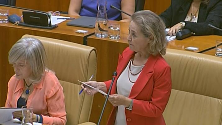 Mercedes Vaquera, consejera de Educación de la Junta de Extremadura, durante su intervención este jueves en la Asamblea de Extremadura