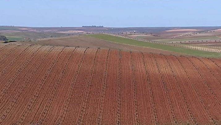 Tierra de Barros