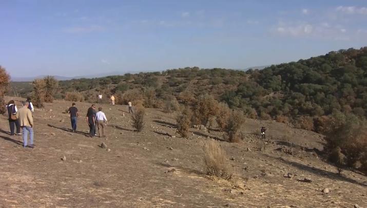 Zona afectada por el incendio de Jarilla de 2025