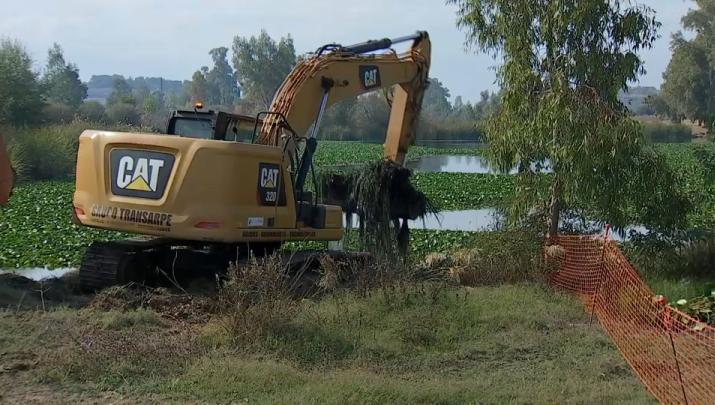 Máquinas trabajando en la retirada y eliminación del nenúfar mejicano en Badajoz