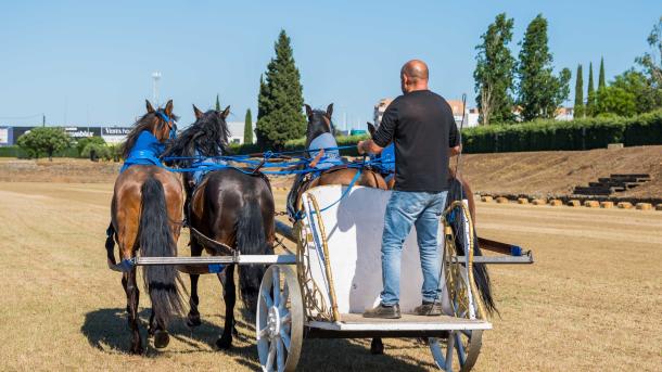 Ensayos de la carrera de cuadrigas en Mërida