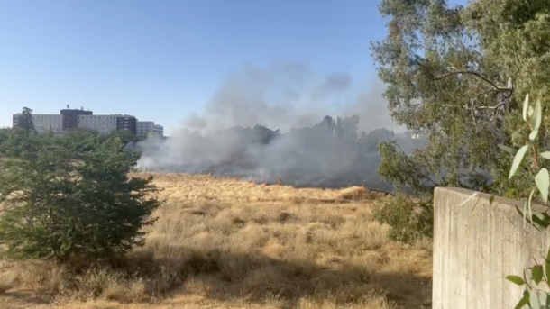 La detención se ha producido aproximadamente a las 19,30 horas de este lunes, cuando el individuo estaba procediendo a quemar diferentes zonas de la margen derecha del río Guadiana a la altura del Puente Real