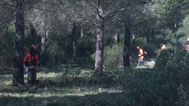 Técnicos del Plan Infoex realizando labores de prevención de incendios