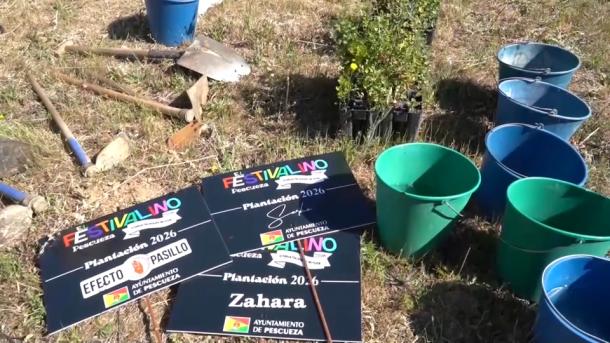 Plantación de árboles en Pescueza tras el Festivalino
