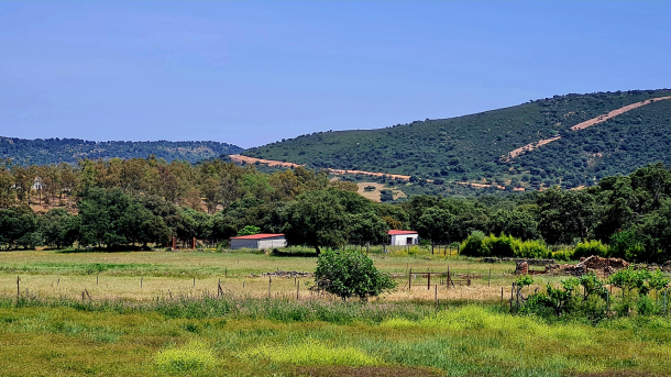 Foto de Juan Antonio Bermejo de Helechosa de los Montes