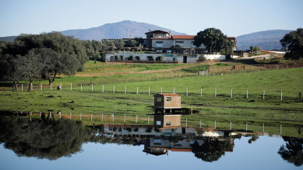 Paisaje de dehesa en la Sierra de Gata