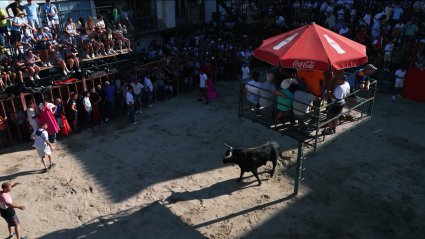 Aldenanueva de la Vera, Toros Veratos, Festejos populares, Encierros y capeas, Tierra de Toros, Juan Bazaga, Canal Extremadura