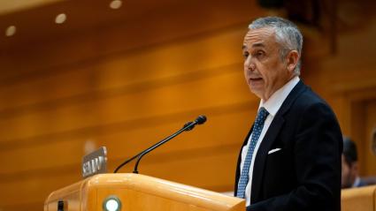 Ángel Pelayo Gordillo, durante una intervención en el Senado