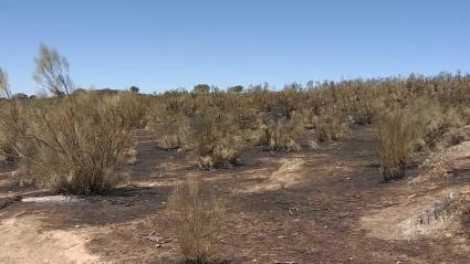 Consecuencias del incendio