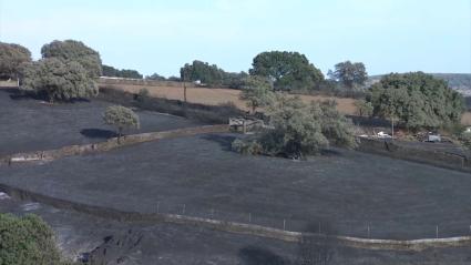 La Junta da por controlado el incendio en Alía